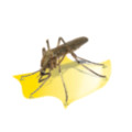 6618 | PROFFECIONAL INSECT KILLER 2x40W HACCP